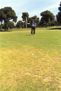 Not the easiest of greens in Glyfada; that pin seems an awfully long way away