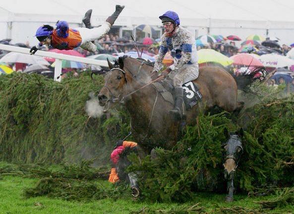 Mike's favourite photo: so many stories going on in this image of the 2001 Grand National (Photo: Mike King)